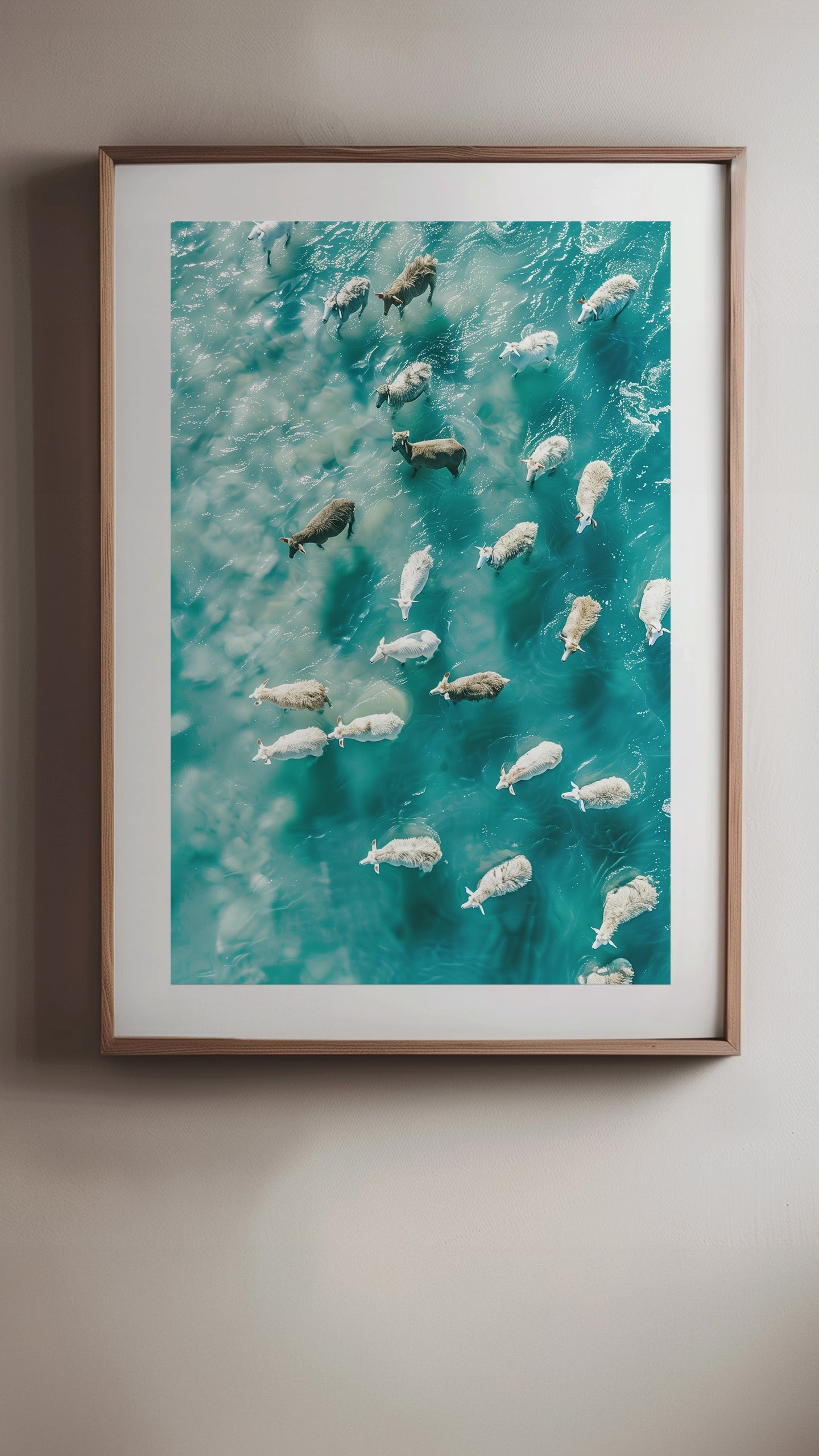 Sheep serenely swimming in the blue waters in 'Flock's Embrace'.